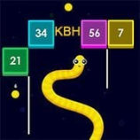 Snake and Blocks img